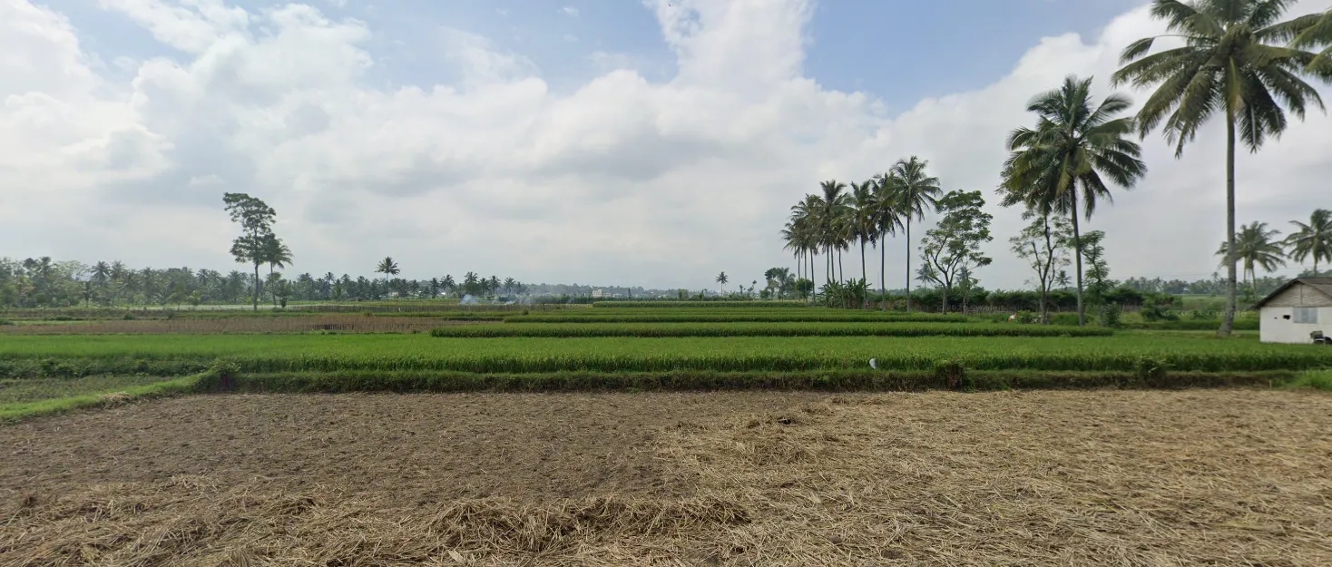 Pemandangan Desa Belung 2